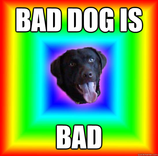 BAD DOG IS BAD  