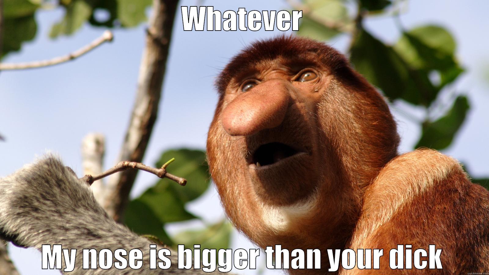 efzef ze fez f ze fz ef ze f - WHATEVER MY NOSE IS BIGGER THAN YOUR DICK Misc
