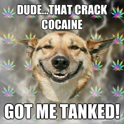 DUDE...that crack cocaine got me TANKED!  Stoner Dog