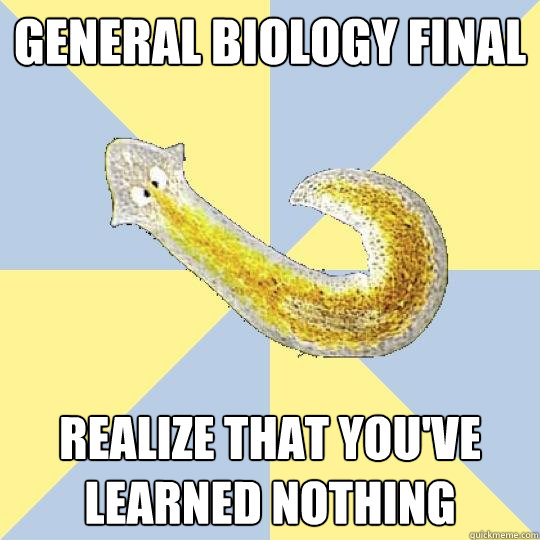 General Biology Final Realize that you've learned nothing  Bio Major Planarian