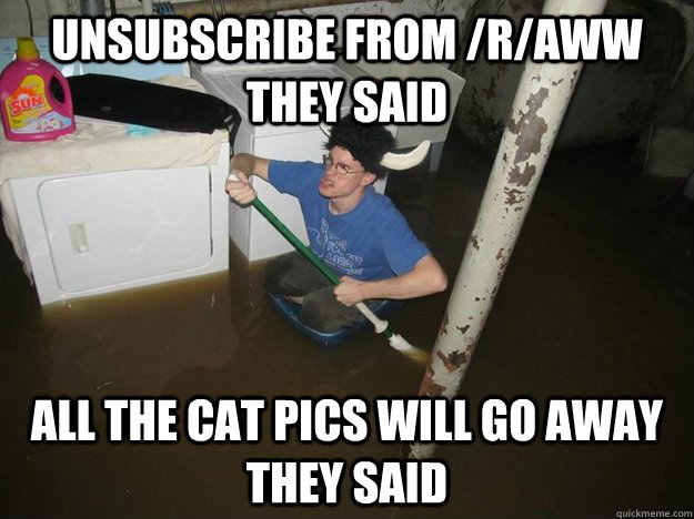 unsubscribe from /r/aww they said all the cat pics will go away they said  Laundry Room Viking