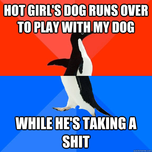 Hot girl's dog runs over to play with my dog while he's taking a shit  Socially Awesome Awkward Penguin