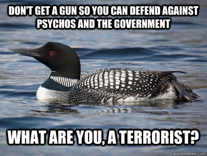 don't get a gun so you can defend against psychos and the government What are you, a terrorist? - don't get a gun so you can defend against psychos and the government What are you, a terrorist?  Irony Loon