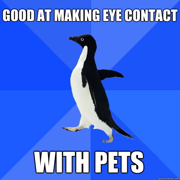good at making eye contact with pets    Socially Awkward Penguin