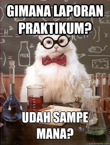 Gimana laporan praktikum? udah sampe mana?  Science Cat