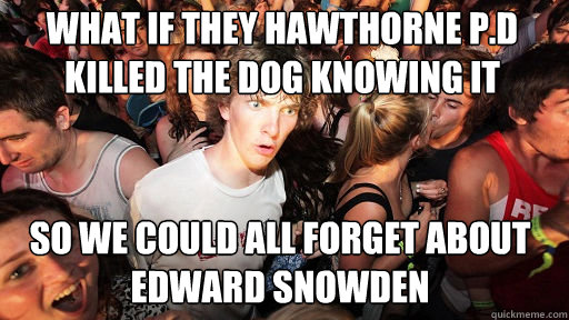 What if they Hawthorne P.D killed the dog knowing it would go viral so we could all forget about edward snowden  Sudden Clarity Clarence