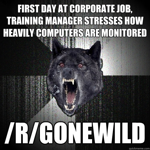 first day at Corporate job, training manager stresses how heavily computers are monitored /r/gonewild  Insanity Wolf