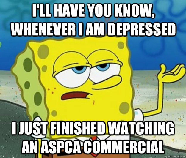 I'll have you know, whenever i am depressed i just finished watching an aspca commercial - I'll have you know, whenever i am depressed i just finished watching an aspca commercial  Tough Spongebob