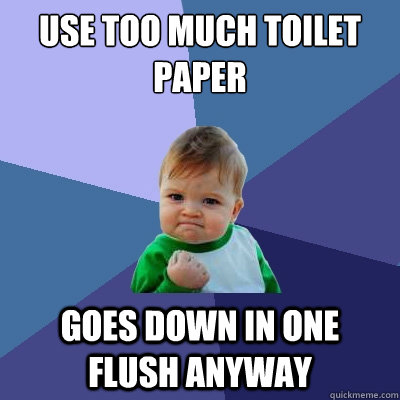 use too much toilet paper goes down in one flush anyway - use too much toilet paper goes down in one flush anyway  Success Kid