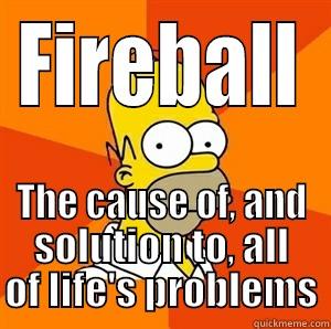 FIREBALL THE CAUSE OF, AND SOLUTION TO, ALL OF LIFE'S PROBLEMS Advice Homer