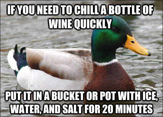 If you need to chill a bottle of wine quickly put it in a bucket or pot with ice, water, and salt for 20 minutes  Actual Advice Mallard
