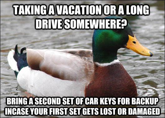 Taking a vacation or a long drive somewhere? Bring a second set of car keys for backup incase your first set gets lost or damaged  Actual Advice Mallard