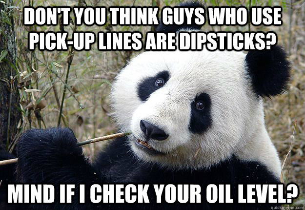 Don't you think guys who use pick-up lines are dipsticks? Mind if I check your oil level?  Pick-up line Panda