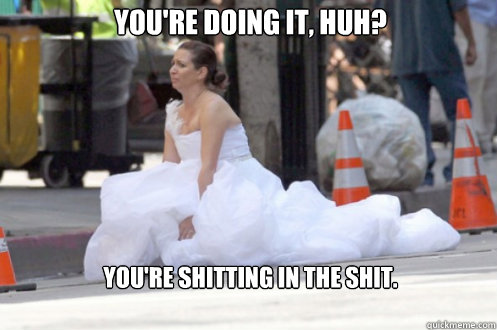 You're doing it, huh? You're shitting in the shit.  bridesmaids