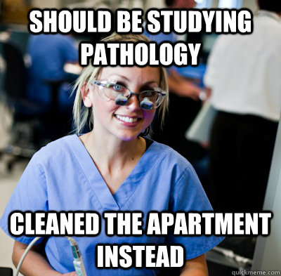 Should be studying pathology cleaned the apartment instead   overworked dental student