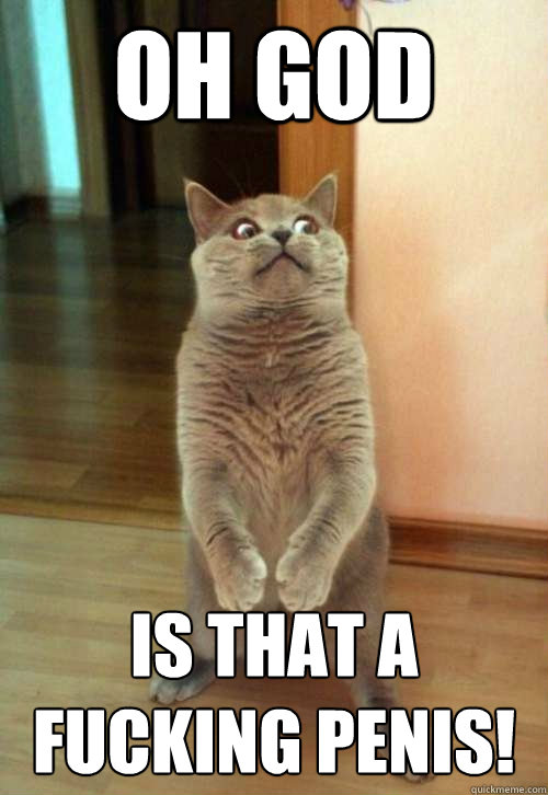 Oh god is that a fucking penis!  Horrorcat