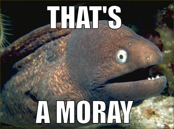 When the moon hits your eye - THAT'S A MORAY Bad Joke Eel