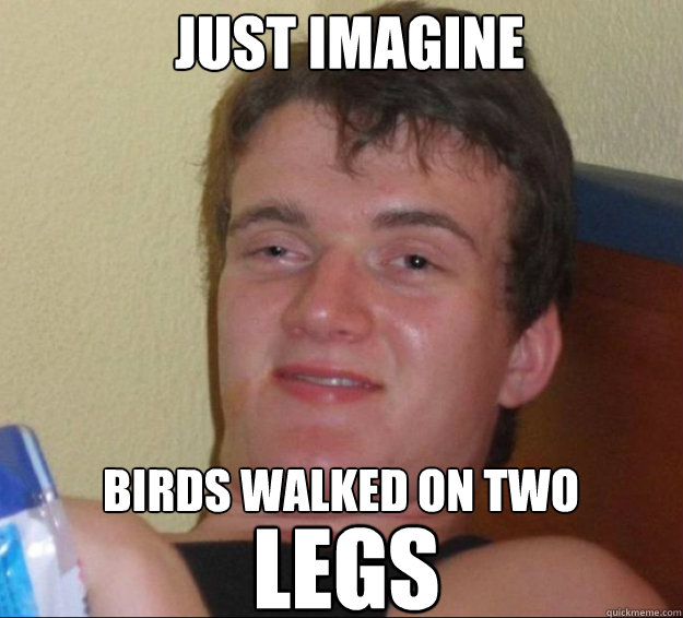 Just imagine Birds walked on two legs  10guy