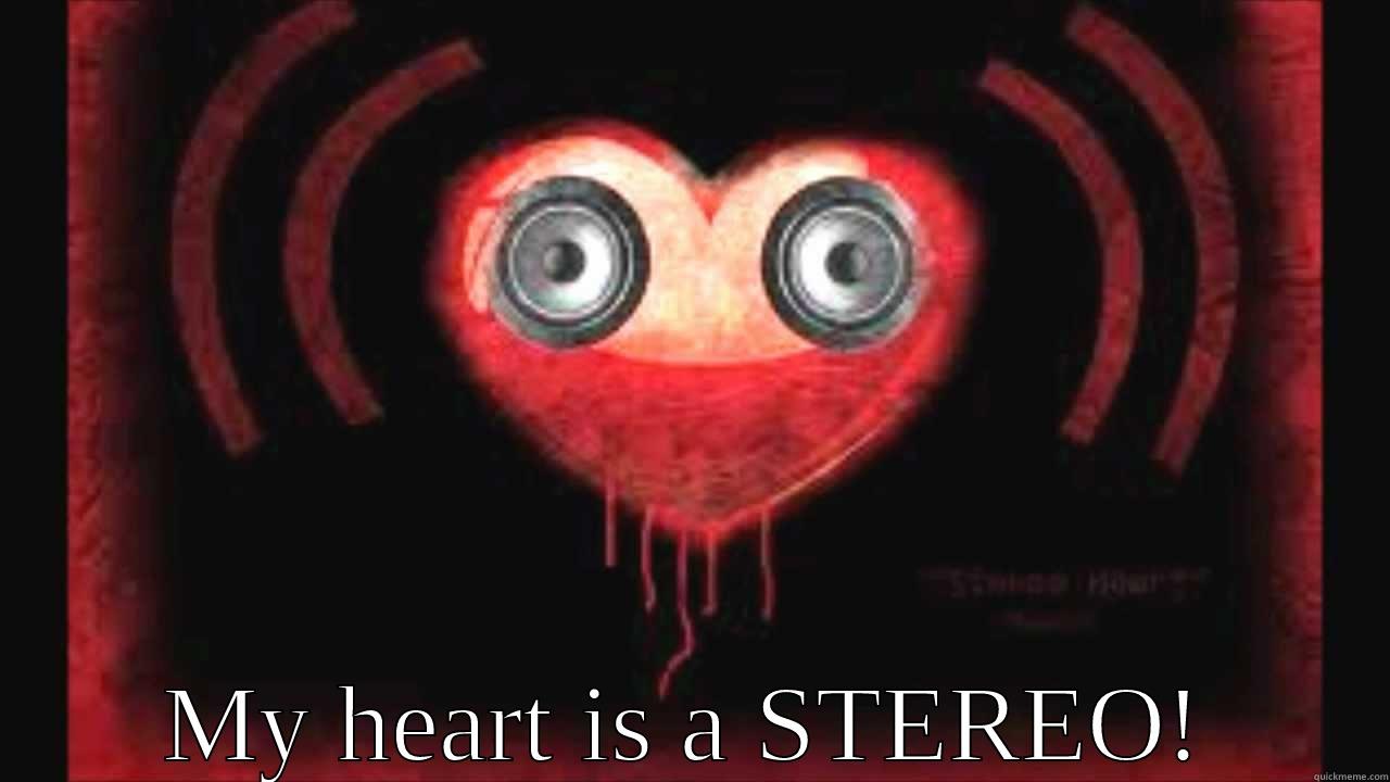 My Heart is weird -  MY HEART IS A STEREO! Misc