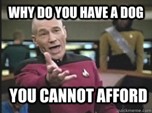 why do you have a dog you cannot afford  Annoyed Picard