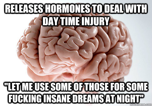 releases hormones to deal with day time injury  