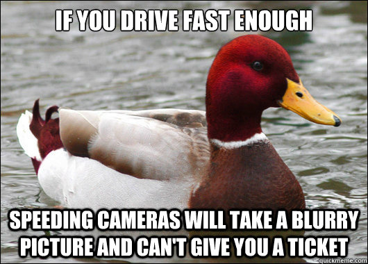 If you drive fast enough Speeding cameras will take a blurry picture and can't give you a ticket  Malicious Advice Mallard