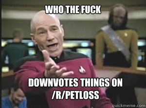 who the fuck downvotes things on
/r/petloss - who the fuck downvotes things on
/r/petloss  Annoyed Picard