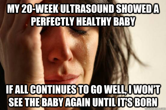 My 20-week ultrasound showed a perfectly healthy baby if all continues to go well, I won't see the baby again until it's born  First World Problems