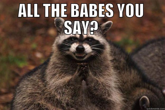 ALL THE BABES YOU SAY?  Evil Plotting Raccoon