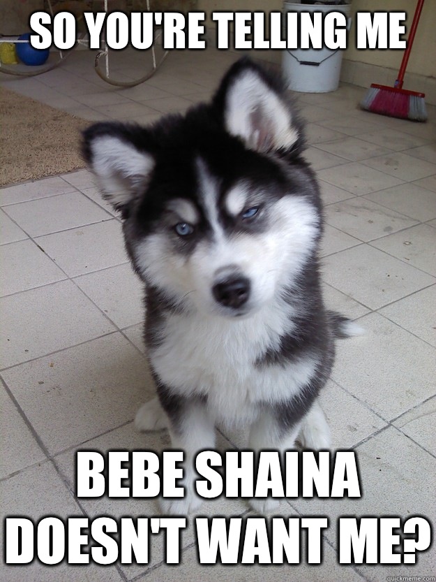 So you're telling me Bebe Shaina doesn't want me? - So you're telling me Bebe Shaina doesn't want me?  Skeptical Newborn Puppy