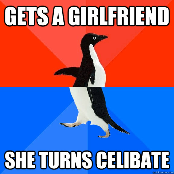 Gets a girlfriend she turns celibate  Socially Awesome Awkward Penguin