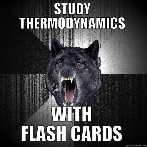STUDY THERMODYNAMICS WITH FLASH CARDS Insanity Wolf
