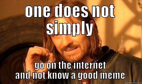 ONE DOES NOT SIMPLY GO ON THE INTERNET AND NOT KNOW A GOOD MEME One Does Not Simply