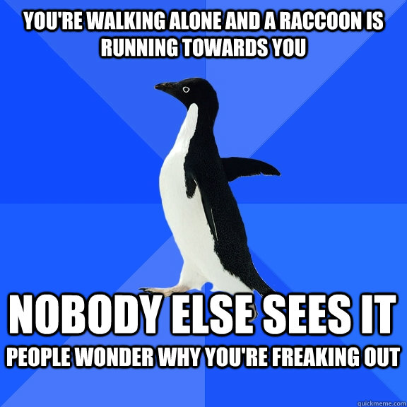 YOU'RE WALKING ALONE AND A RACCOON IS RUNNING TOWARDS YOU nobody else sees it people wonder why you're freaking out   Socially Awkward Penguin