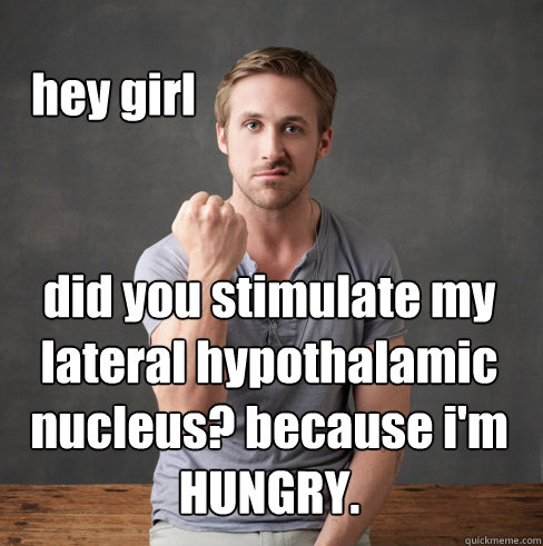 hey girl did you stimulate my lateral hypothalamic nucleus? because i'm HUNGRY.  