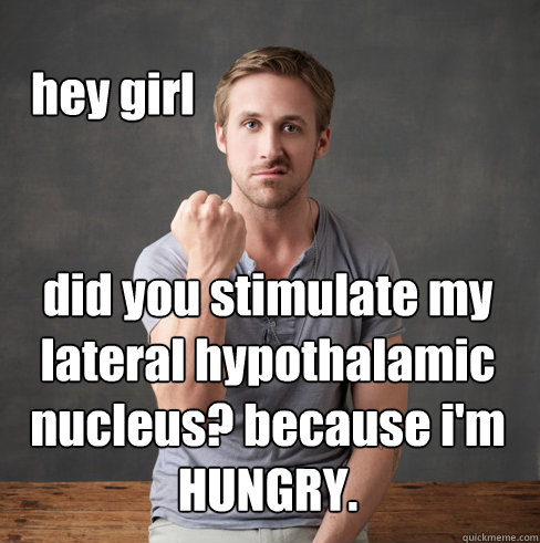 hey girl did you stimulate my lateral hypothalamic nucleus? because i'm HUNGRY. - hey girl did you stimulate my lateral hypothalamic nucleus? because i'm HUNGRY.  neuroscientist ryan gosling