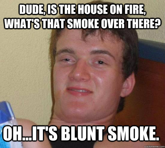 Dude, Is the house on fire, what's that smoke over there? Oh...It's blunt smoke.  - Dude, Is the house on fire, what's that smoke over there? Oh...It's blunt smoke.   Misc