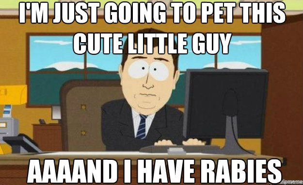 I'm just going to pet this cute little guy  AAAAND I have rabies - I'm just going to pet this cute little guy  AAAAND I have rabies  aaaand its gone
