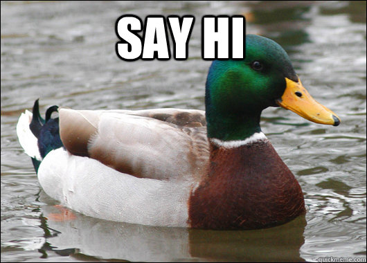Say Hi   Actual Advice Mallard