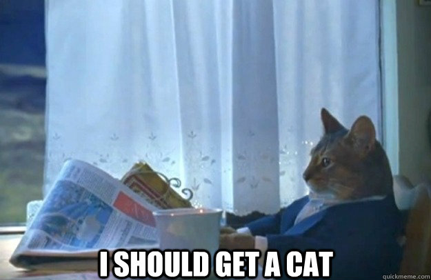 I should get a cat  Sophisticated Cat