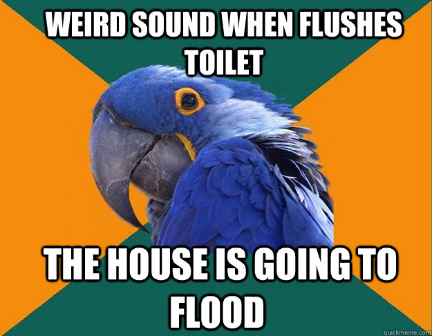 weird sound when flushes toilet  the house is going to flood  Paranoid Parrot