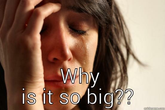  WHY IS IT SO BIG??  First World Problems