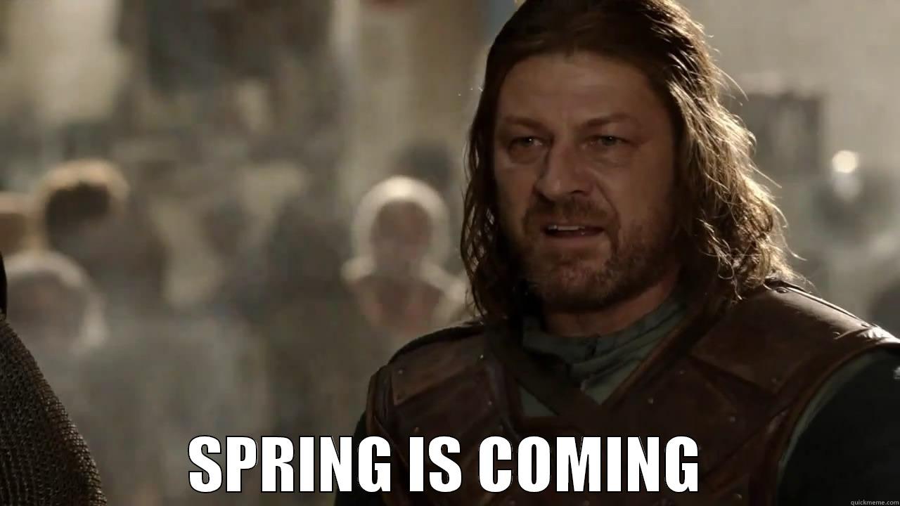  SPRING IS COMING Misc