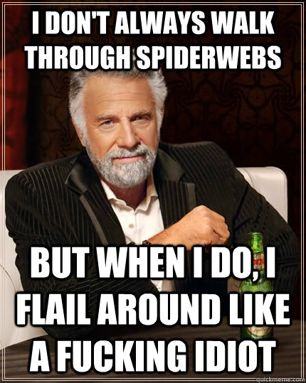 I don't always walk through spiderwebs but when I do, I flail around like a fucking idiot - I don't always walk through spiderwebs but when I do, I flail around like a fucking idiot  The Most Interesting Man In The World