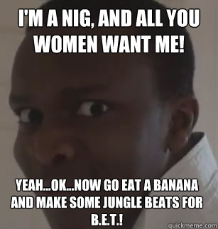 I'm a nig, and all you women want me! yeah...ok...now go eat a banana and make some jungle beats for B.e.t.!  KSIolajidebt