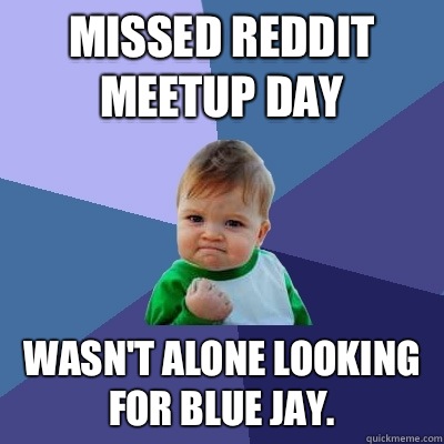 Missed reddit meetup day Wasn't alone looking for Blue Jay.   Success Kid