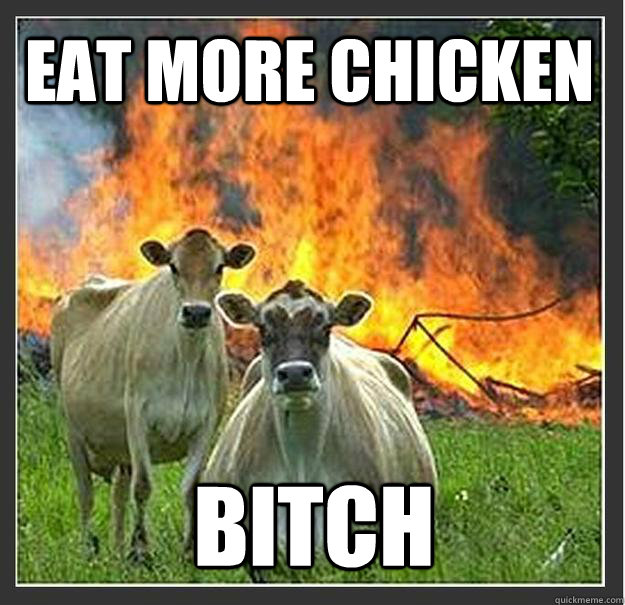 eat more chicken bitch  - eat more chicken bitch   Evil cows