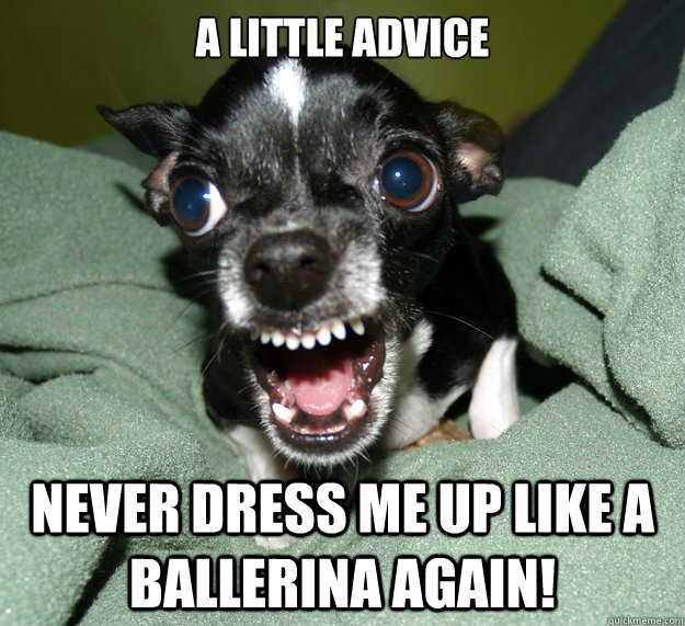 A little advice Never dress me up like a ballerina again!  