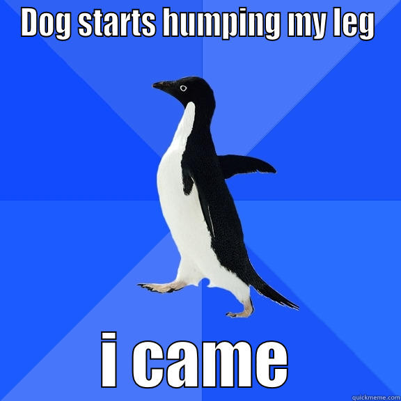 DOG STARTS HUMPING MY LEG I CAME Socially Awkward Penguin
