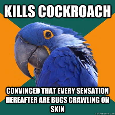 kills cockroach  convinced that every sensation hereafter are bugs crawling on skin  Paranoid Parrot